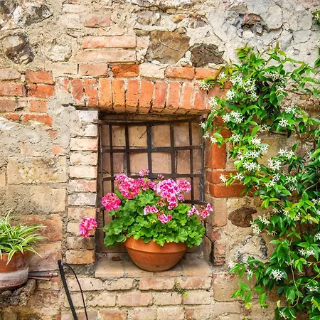 Casa Rosa A Apartment Murlo